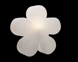 shining_Flower_Das_Einrichtungshaus_XXS_Willich_Krefeld_Kempen_Düsseldorf_Neuss_Kaarst_Meerbusch_Büderich_Mönchengladbach_Köln_Viersen_amazon